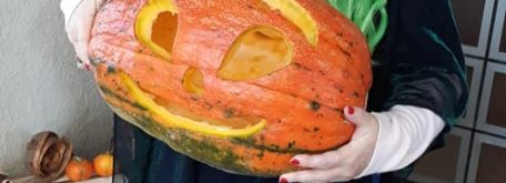 November, tekvice, heloween... - 248335725_441936340691902_894560980443388577_n