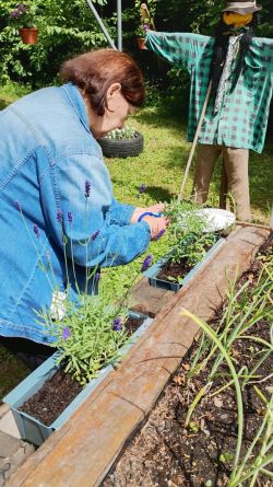 516342961_1062813645966234_1118271486671221234_n