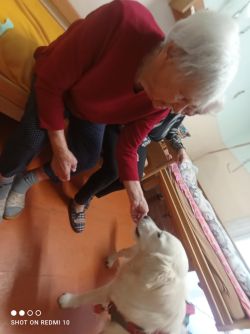 514261027_1082369834010615_8411608964901319979_n