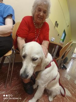 514263066_1082370004010598_6404679201133792500_n