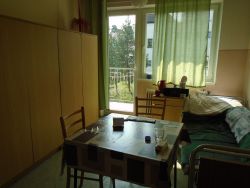 Fotky 2016 330