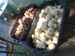 Kulinoterapie - palacinky, slivkové knedle august 2017