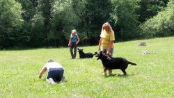 IMG_20170614_131821