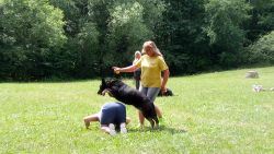 IMG_20170614_131834