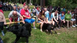 Výcvik psov 14.6.2017
