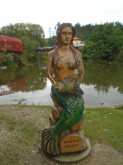 DSC05460