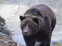Vianočný výlet do ZOO
