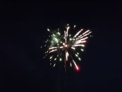 Silvester 2020