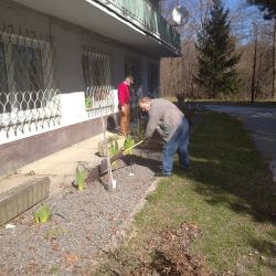 IMG_20220323_101805