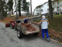 Grantový program "zelené oči" 2018 - IMG_20181112_105358