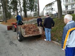 Grantový program "zelené oči" 2018 - IMG_20181112_111346
