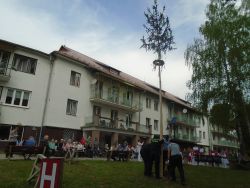 Dsc05869