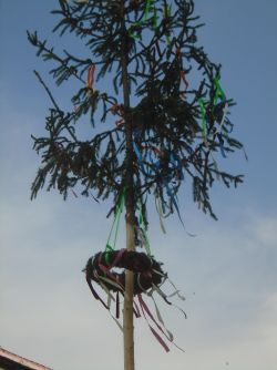 Dsc05880