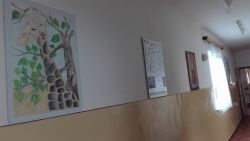 IMG_20190403_093629