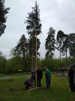 IMG_20190430_101229