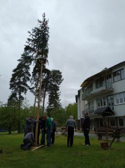 IMG_20190430_101257