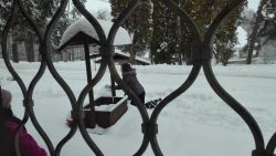 IMG_20190109_145520