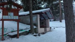 IMG_20190129_073643