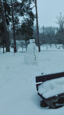 IMG_20190129_073819
